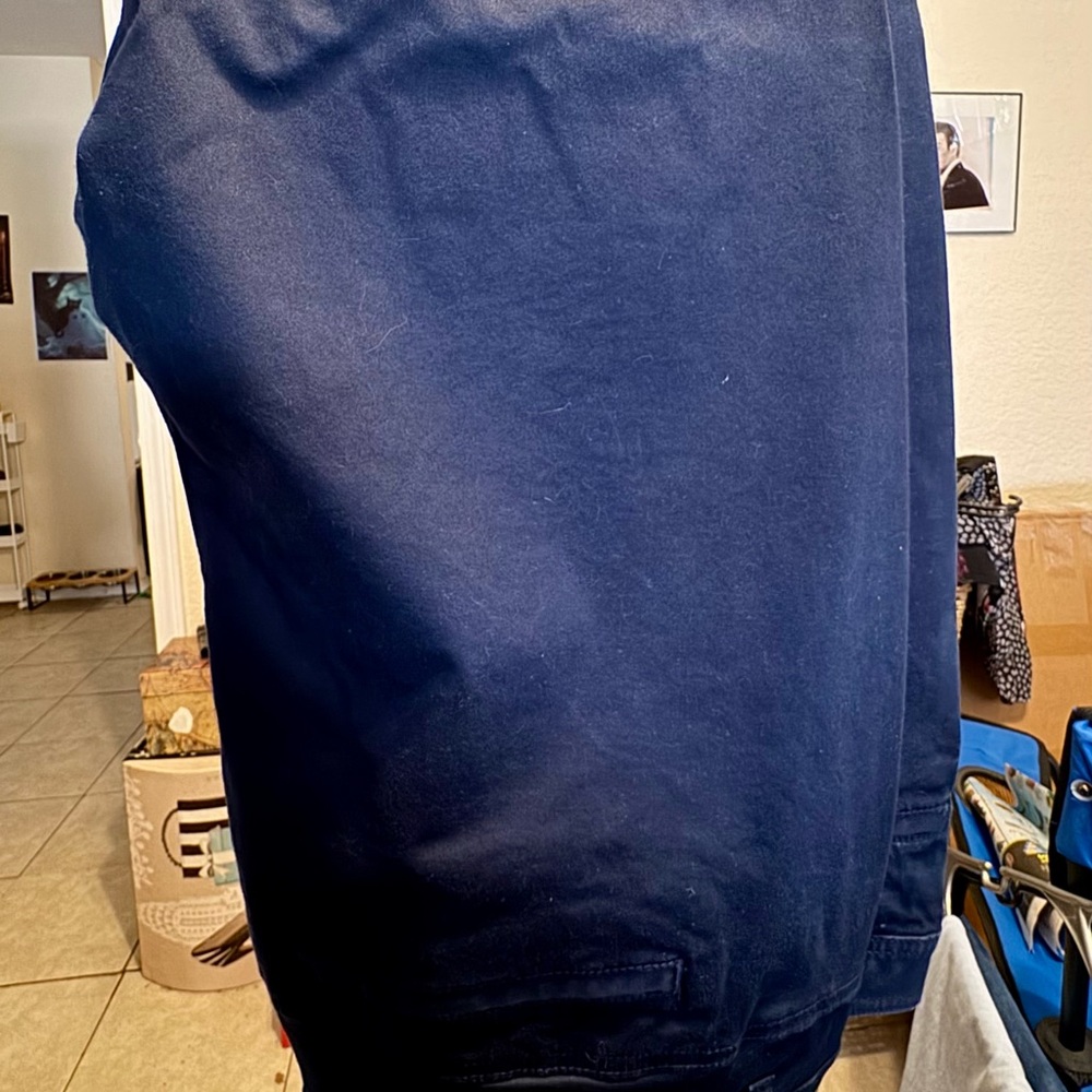 Lane Bryant Navy Blue Pants
